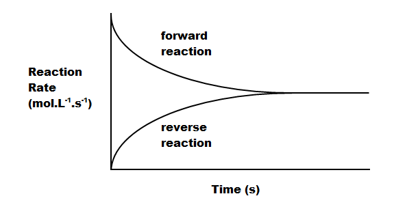 Reaction rate vs. time for forward and reverse reactions