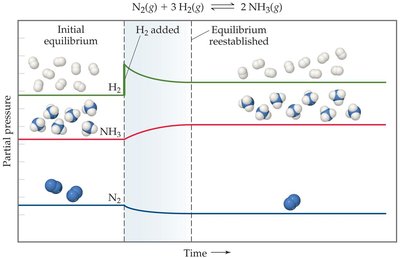 Partial pressure changes and equilibrium reestablishment