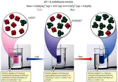Temperature effects on equilibrium color changes