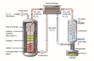 Catalyst lowers activation energy