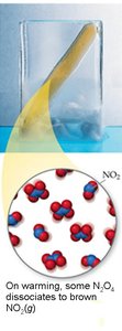 On warming, some N2O4 dissociates to brown NO2(g)