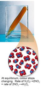At equilibrium, colour stops changing. Rate of N2O4 to 2NO2 equals rate of 2NO2 to N2O4
