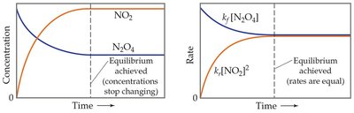 Concentration and rate graphs for equilibrium