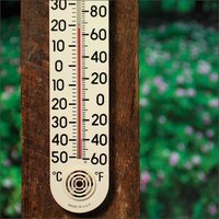 Thermometer showing Celsius and Fahrenheit scales