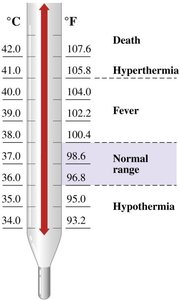 Body temperature ranges and health