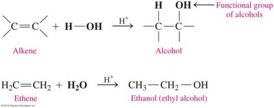 Hydration of an alkene to form an alcohol