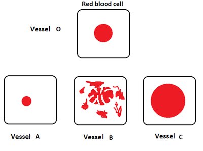 Red blood cell tonicity effects