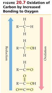 Oxidation and reduction of carbon