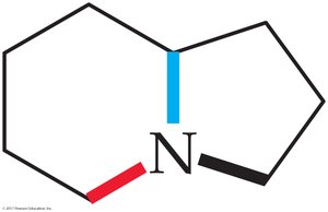Bond lines indicating three carbons attached to nitrogen