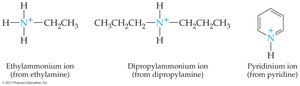 Structures of alkylammonium ions