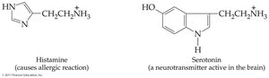 Histamine and serotonin structures