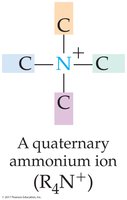 Quaternary ammonium ion structure