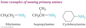 Examples of naming primary amines