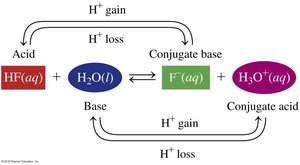 Conjugate acid-base pairs in the reaction of HF and water