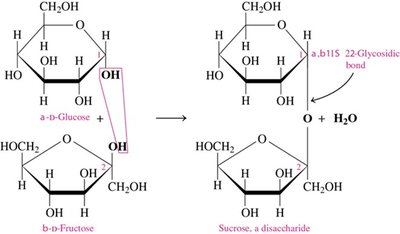 Cane sugar