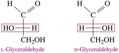 D and L glyceraldehyde with chiral carbon highlighted