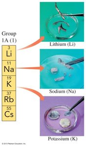 Group 1A alkali metals: lithium, sodium, potassium