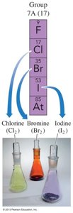 Group 7A halogens: chlorine, bromine, iodine