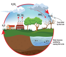 Diagram of acid rain formation and effects on environment