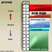 pH scale showing acid rain compared to other substances