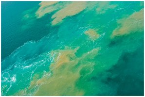 Oil spill showing alkane layer on water