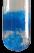 Cu(OH)2 precipitate in test tube