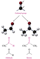 Aldehyde and ketone structures
