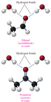 Hydrogen bonding of aldehydes and ketones with water