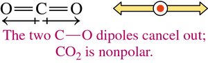CCl4: Dipoles cancel, nonpolar molecule