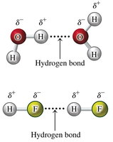 Hydrogen bonds in H2O and HF