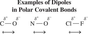 Examples of dipoles in polar covalent bonds