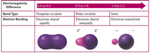 Electronegativity differences and types of bonds