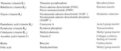 Summary table of vitamin coenzymes and functions