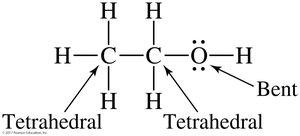 Shapes in larger molecules