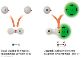 Polar and nonpolar covalent bonds