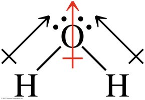 Molecular dipole in water
