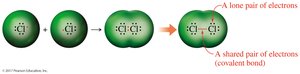 Formation of covalent bond between chlorine atoms