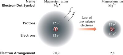 Magnesium atom and magnesium ion electron arrangement