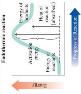 Catalyst lowers activation energy diagram