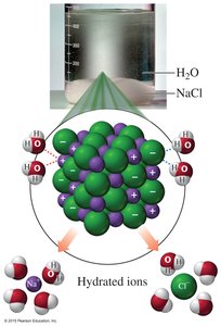 Hydration of NaCl in water, showing hydrated ions