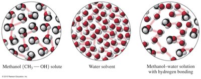 Methanol and water molecules forming hydrogen bonds in solution