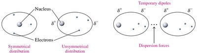 Dispersion forces between nonpolar molecules