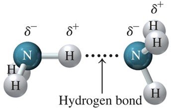 Hydrogen bond between ammonia molecules