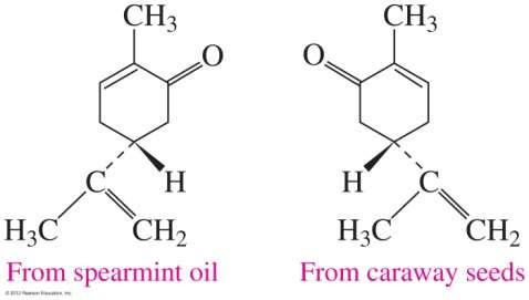 Enantiomers of carvone: spearmint and caraway
