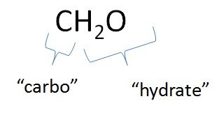 Carbohydrate classification: mono-, di-, and polysaccharides