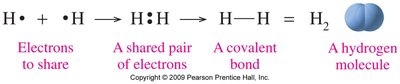 Formation of hydrogen molecule