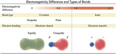 Electronegativity difference and bond types