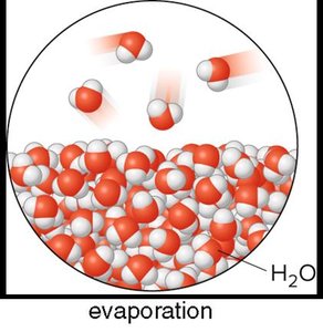 Evaporation of water molecules