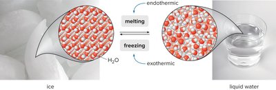 Melting and freezing of water