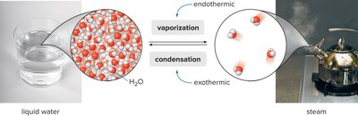 Vaporization and condensation of water